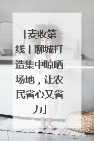 麦收第一线丨聊城打造集中晾晒场地，让农民省心又省力